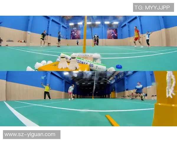 杭州羽毛球队转型之路的挑战与机遇全景探讨